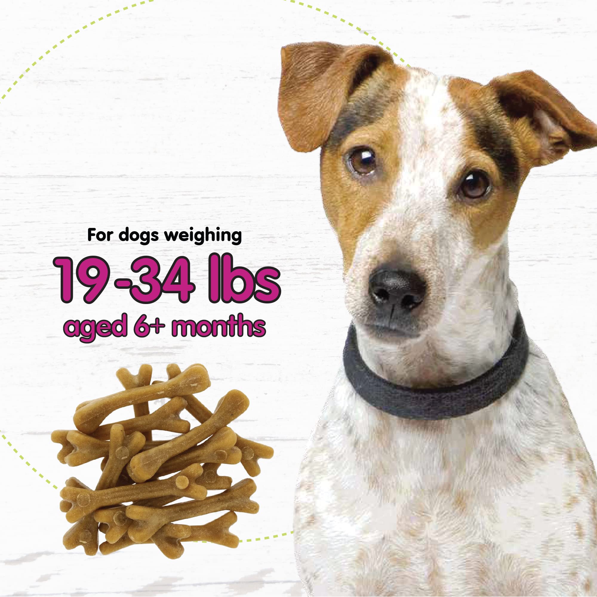 Fido Belly Bones for Small Dogs – Yogurt Flavored Dental Treats, 3-Pack (39 Bones), USA Made