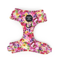'Florentina' - Floral Dog Harness