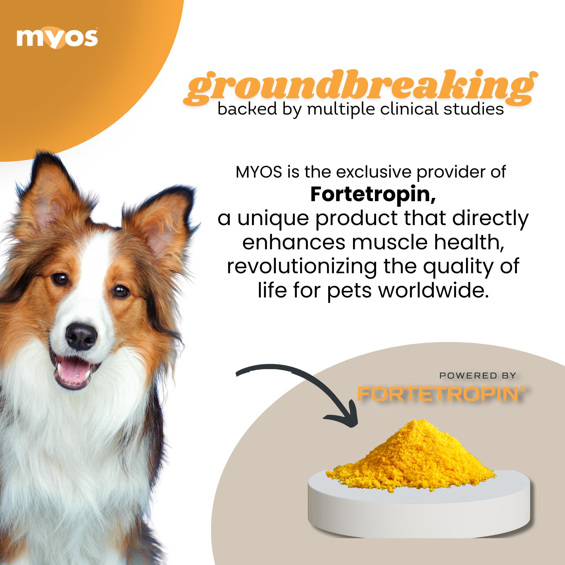 MYOS Canine Muscle Formula – All-Natural Muscle Support for Aging Dogs