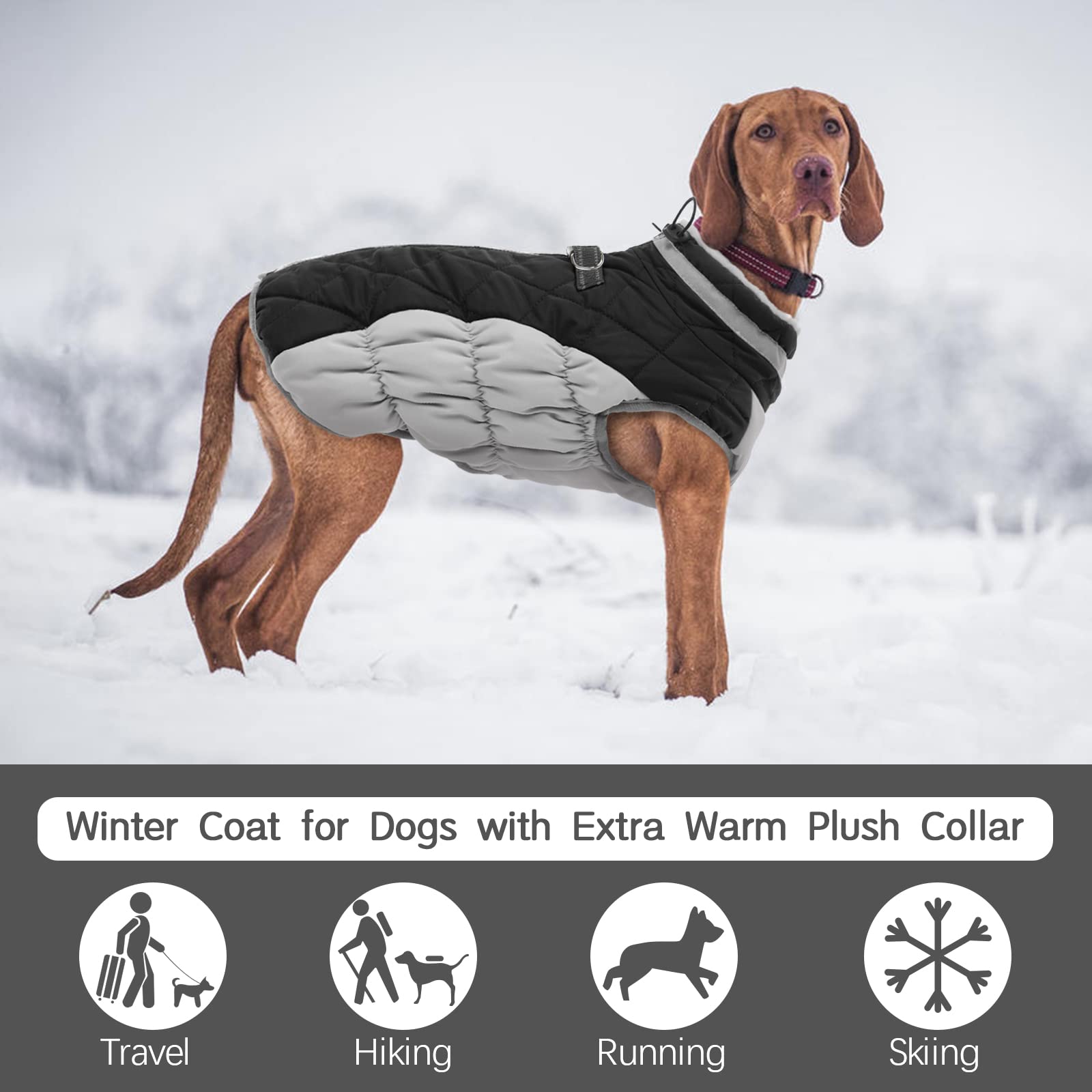 FUAMEY Large Dog Coat – Waterproof Winter Jacket with Built-in Harness
