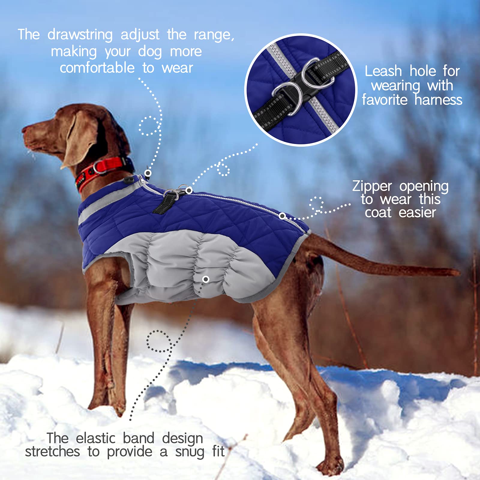 FUAMEY Dog Coat for Large Dogs — Waterproof Winter Jacket with Built-in Harness, Reflective Trim, Blue XL