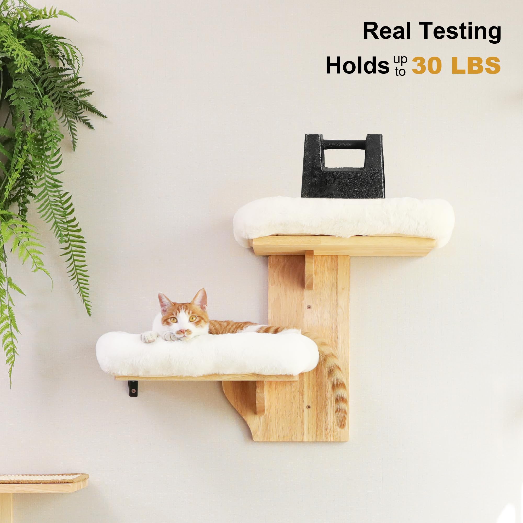 FUKUMARU Cat Wall Shelves - 2-Platform Tree-Shape Floating Shelf with Cushioned Perch