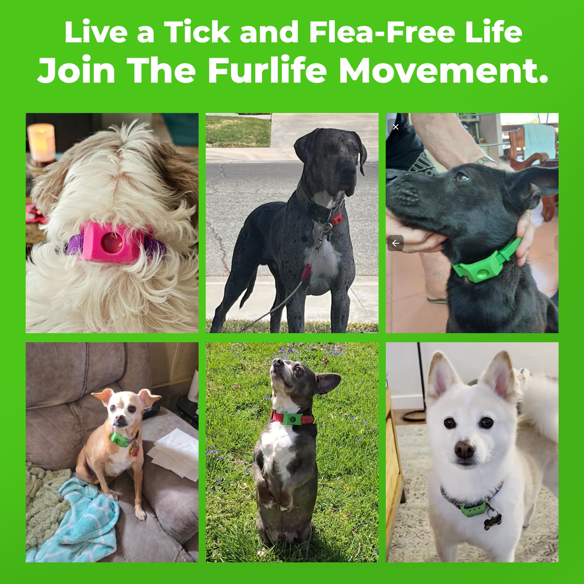 FurLife Grey Dog Tag – Waterproof Flea & Tick Prevention for Dogs