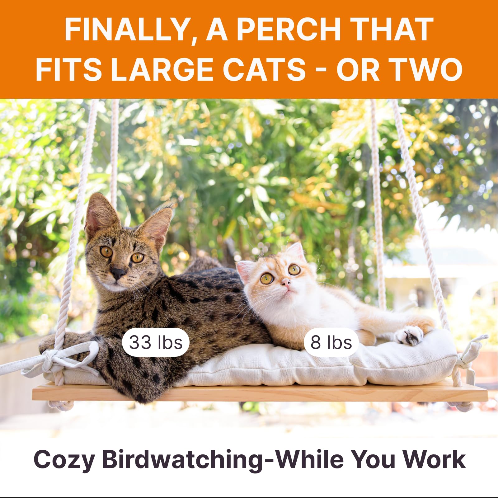 Furrfinity Large Cat Window Perch — Solid Pine Wood Hammock Bed with 42 lb Capacity