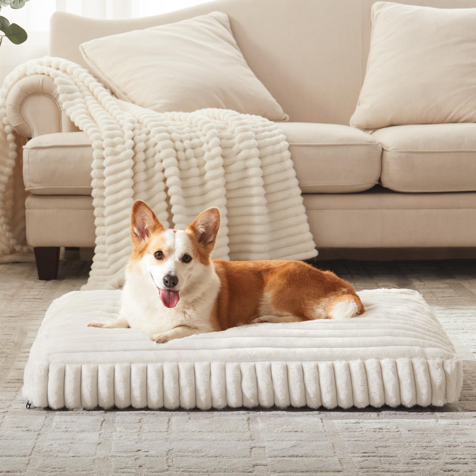 FURTIME Large Dog Bed 35x23x4 Cream – Removable Cover, Anti-Slip, Indoor/Outdoor
