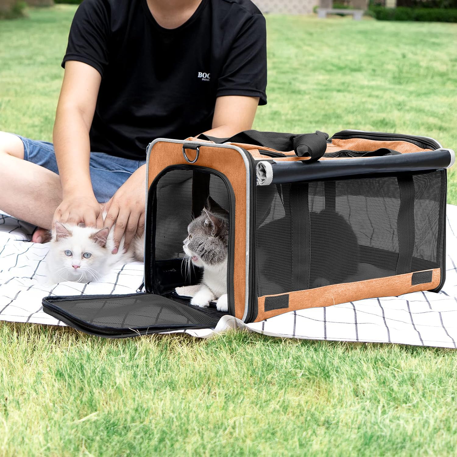 GAPZER Dog Carry Bag — Foldable Soft-Shell Carrier for Small Dogs & Cats (18.1 x 11.8 x 11.8 in, Up to 20 lbs)