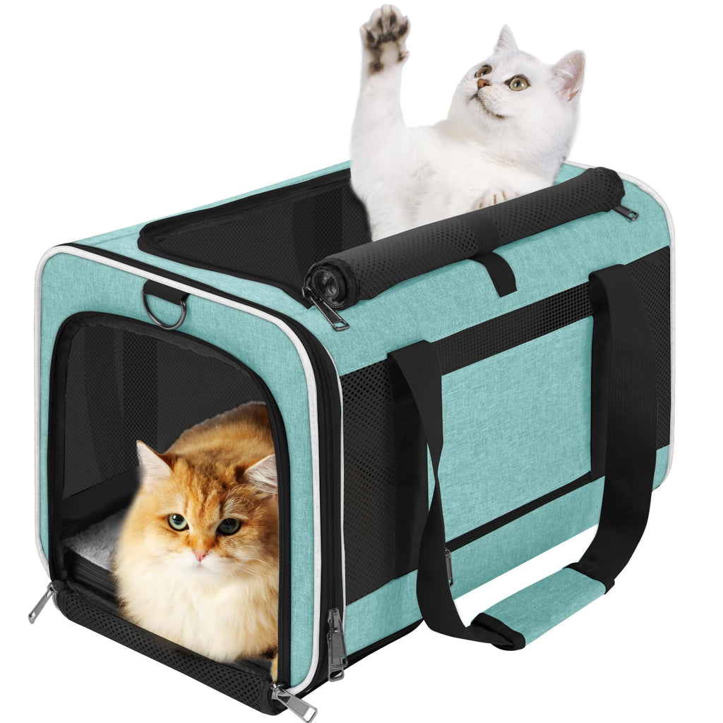 GAPZER Soft Cat Carrier Large 20 lbs — Teal Aqua Travel Crate for Cats & Small Dogs