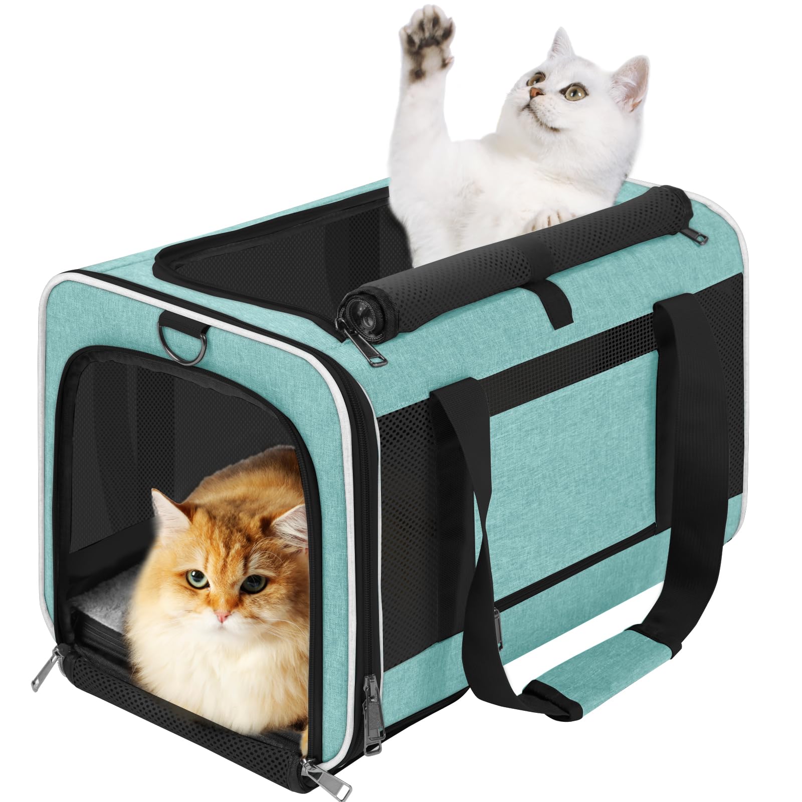 GAPZER Soft Cat Carrier Large 20 lbs — Teal Aqua Travel Crate for Cats & Small Dogs