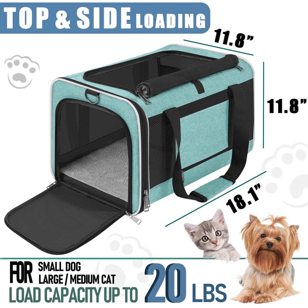 GAPZER Soft Cat Carrier Large 20 lbs — Teal Aqua Travel Crate for Cats & Small Dogs