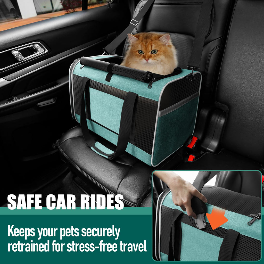 GAPZER Soft Cat Carrier Large 20 lbs — Teal Aqua Travel Crate for Cats & Small Dogs