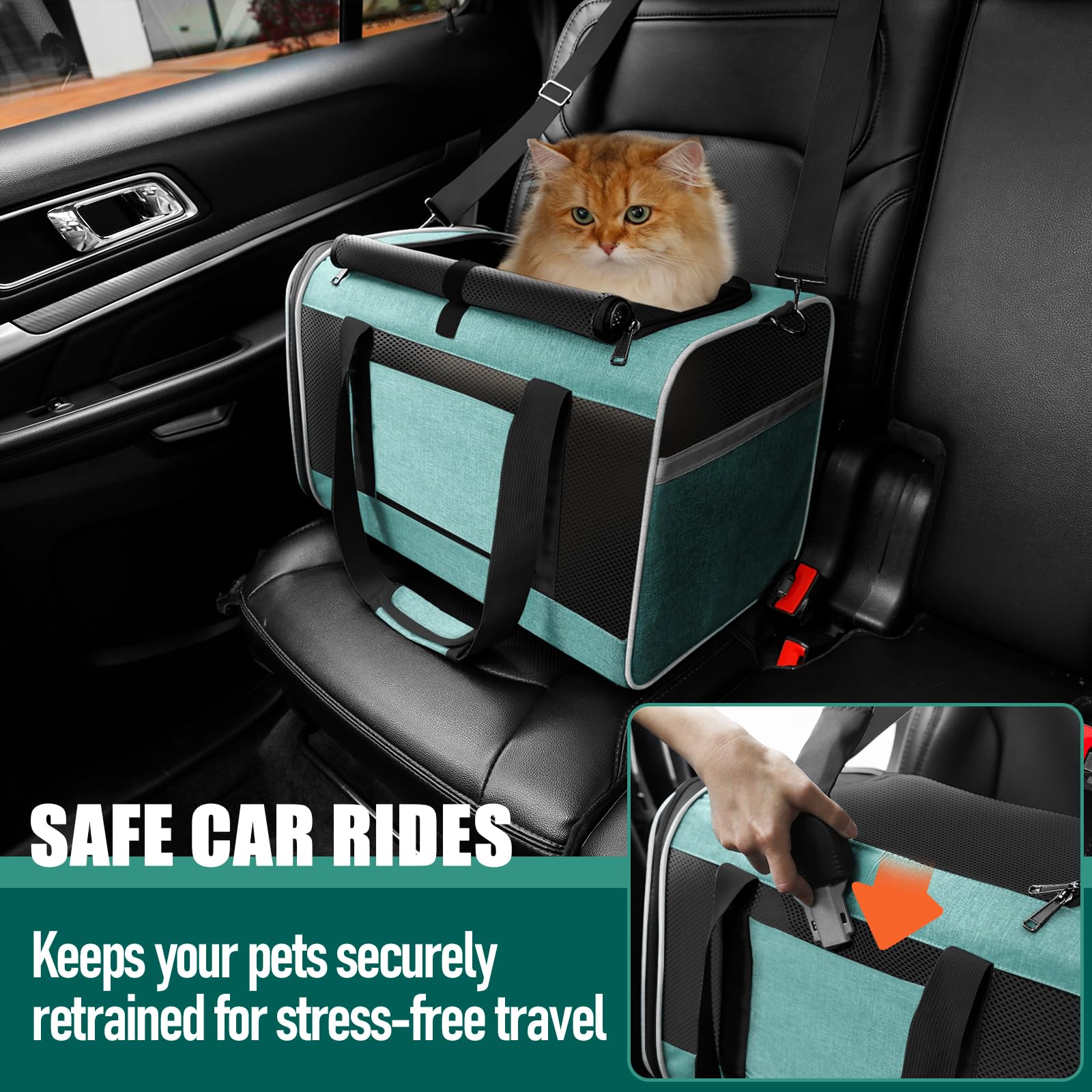 GAPZER Soft Cat Carrier Large 20 lbs — Teal Aqua Travel Crate for Cats & Small Dogs