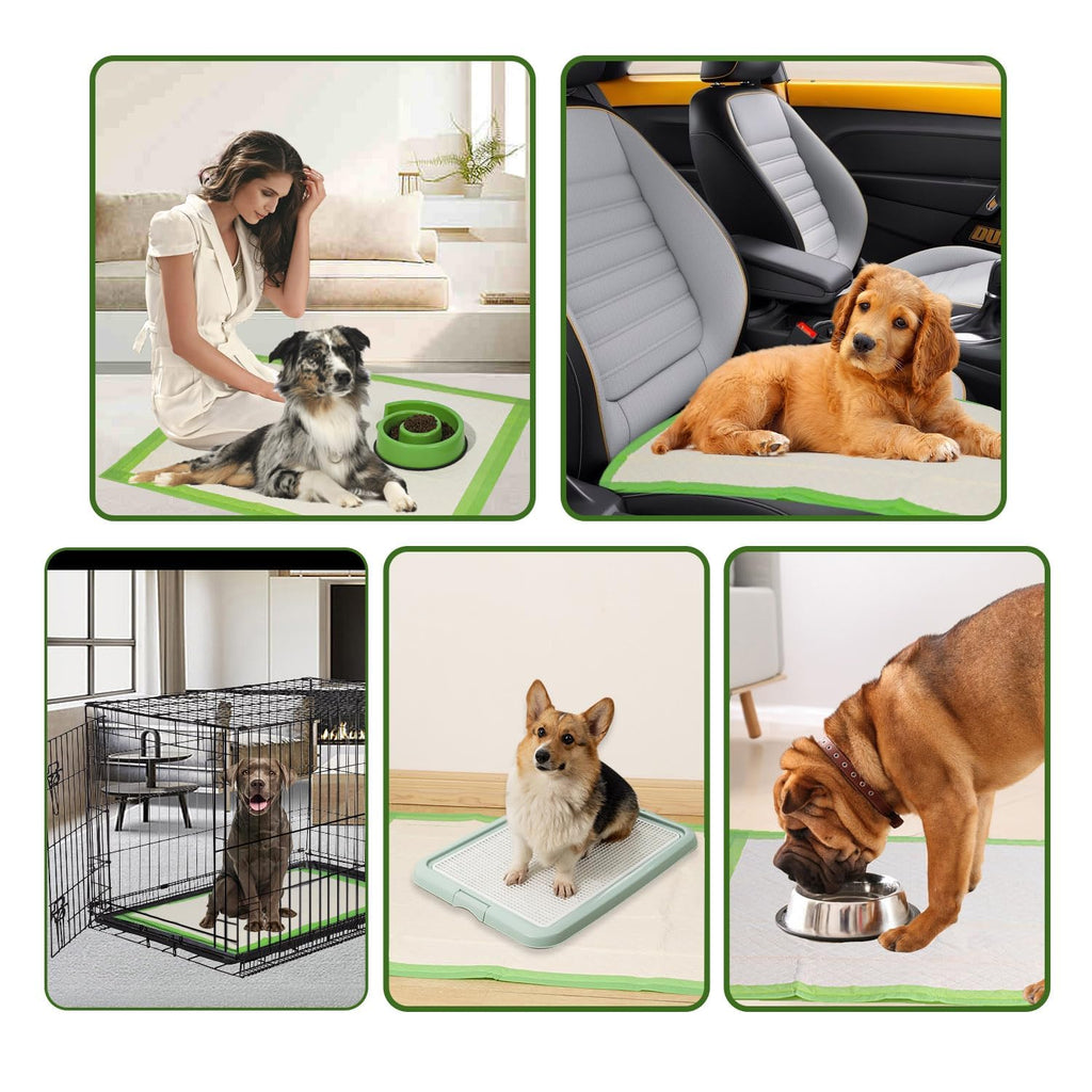 Gardner Pet 22x22 Dog Pee Pads – Thick ECO Green, 100 Count