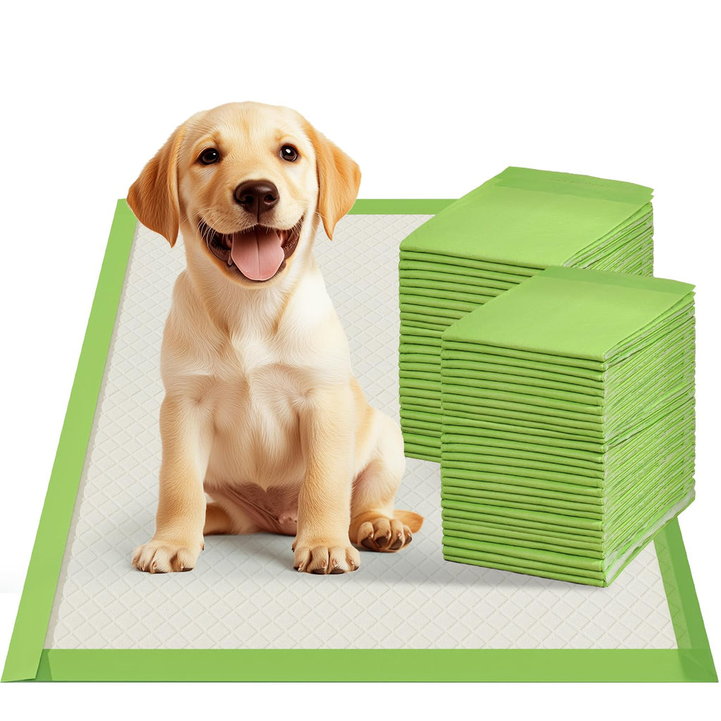 Gardner Pet 22x22 Dog Pee Pads – Thick ECO Green, 100 Count