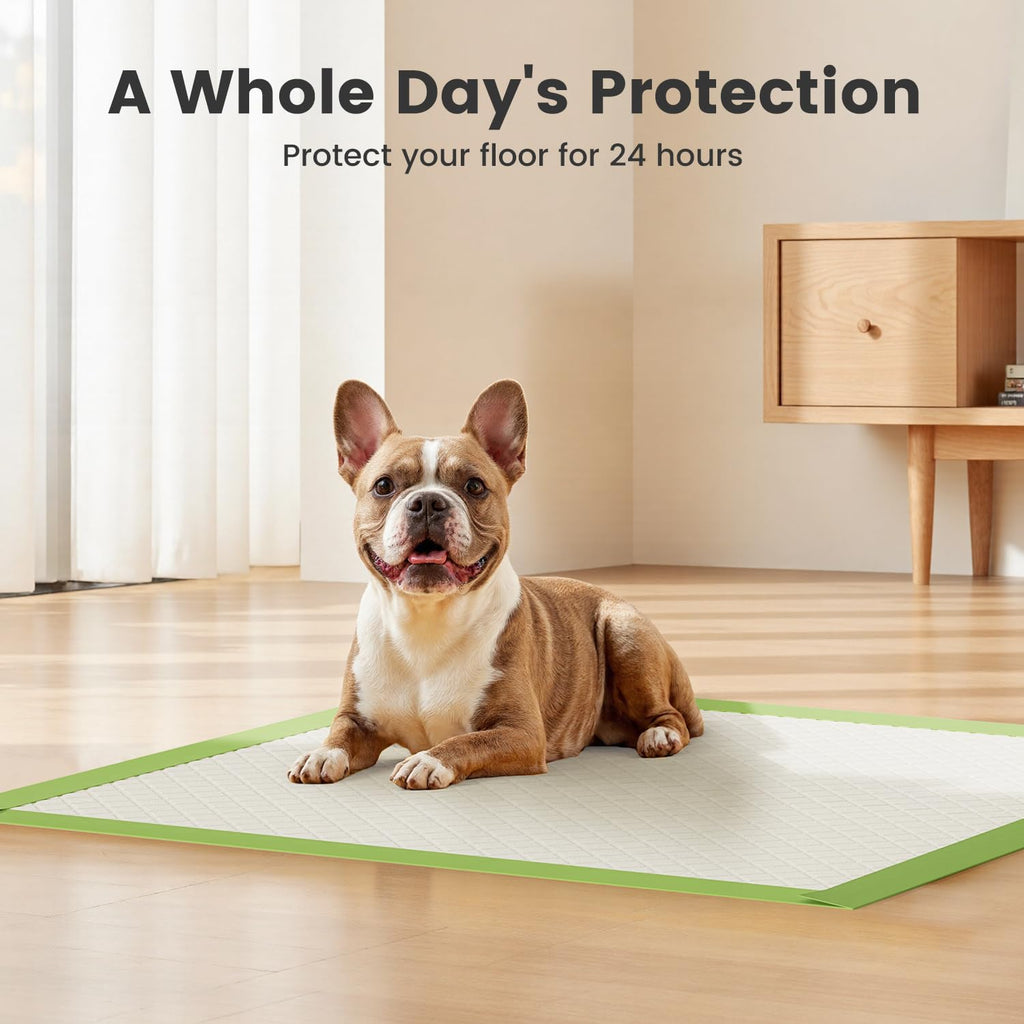 Gardner Pet 22x22 Dog Pee Pads – Thick ECO Green, 100 Count