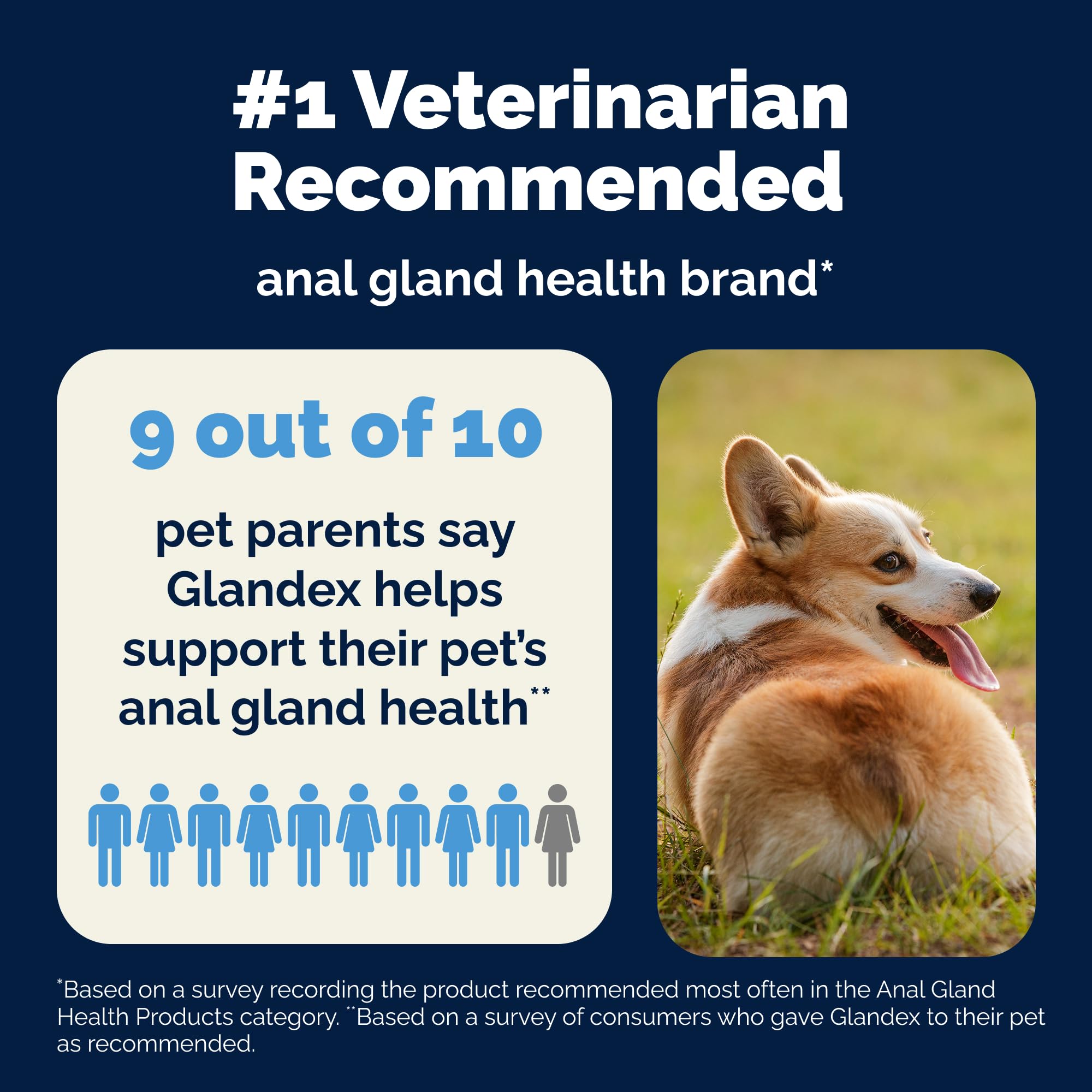 Vetnique Glandex Dog Fiber Supplement — Advanced Strength Duck & Bacon (8.5 oz) – Boot The Scoot