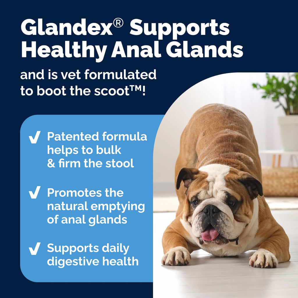 Vetnique Glandex Dog Fiber Supplement — Advanced Strength Duck & Bacon (8.5 oz) – Boot The Scoot