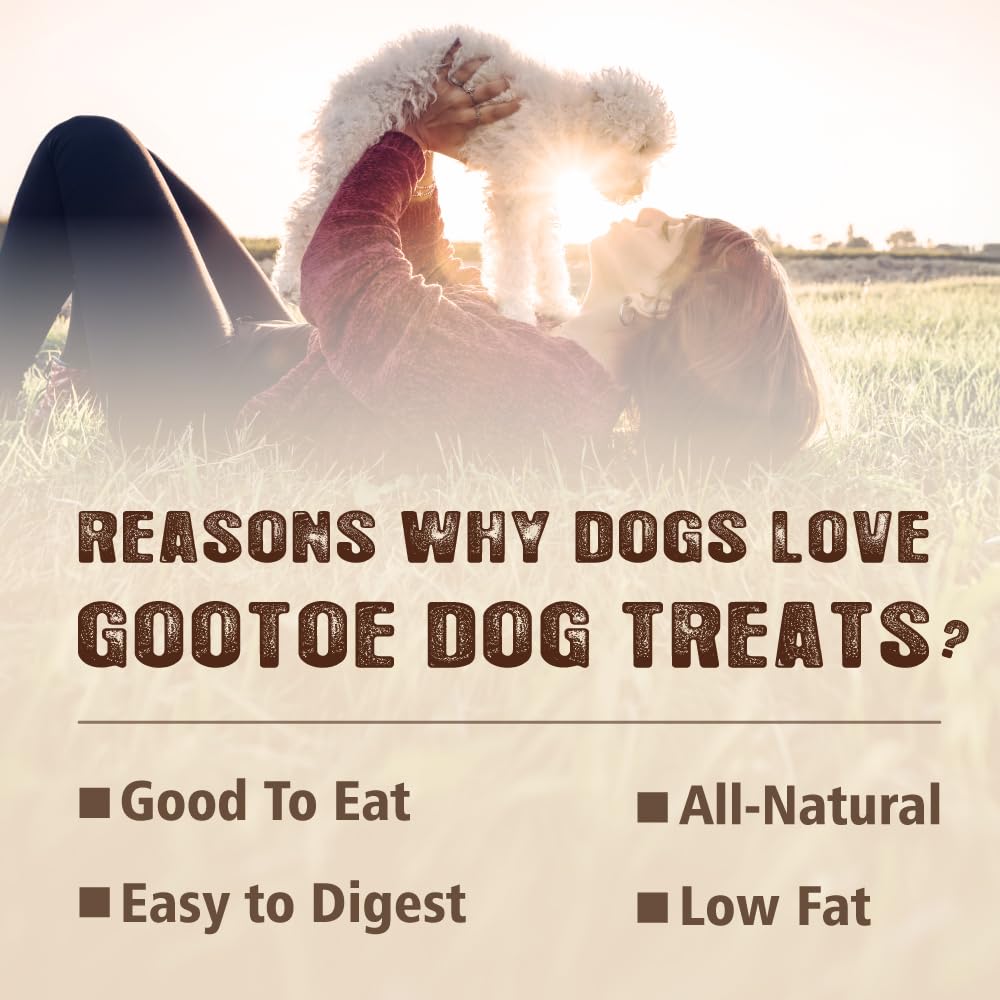 Gootoe Turkey Tendons for Dogs – All-Natural, Hypoallergenic Long-Lasting Chews (16 oz, Ring M)