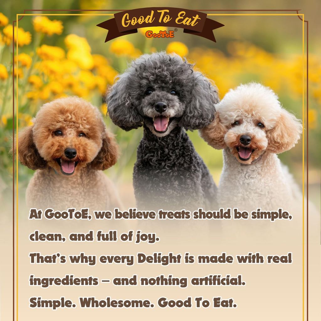 Gootoe Turkey Tendons for Dogs – All-Natural, Hypoallergenic Long-Lasting Chews (Medium Rope, 16 oz)