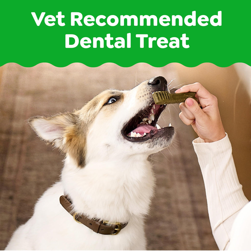 Greenies Vet-Recommended Large-Dog Dental Treats — Fresh Flavor, Original Flavor & Blueberry (3x12 oz)