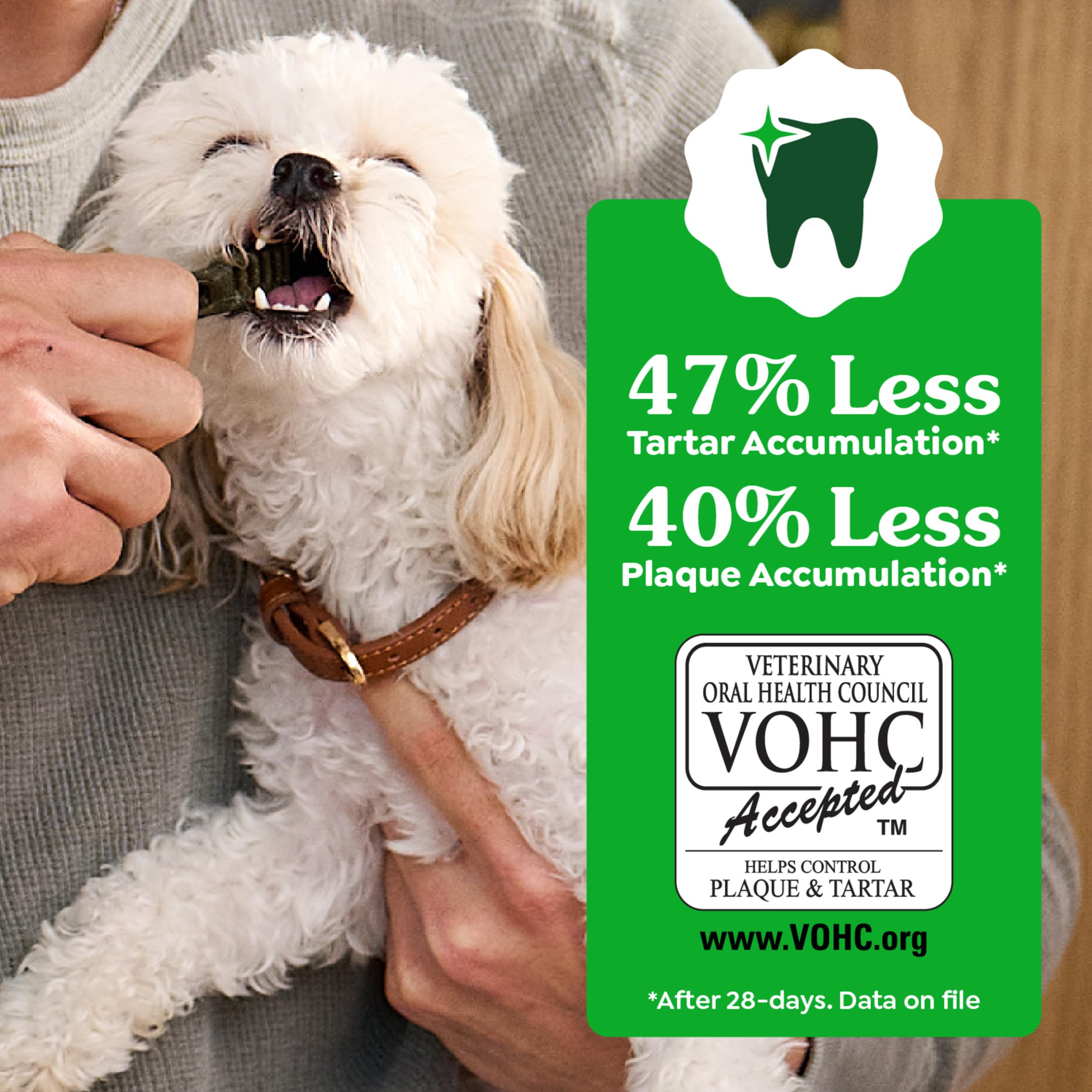 Greenies Vet-Recommended Large-Dog Dental Treats — Fresh Flavor, Original Flavor & Blueberry (3x12 oz)