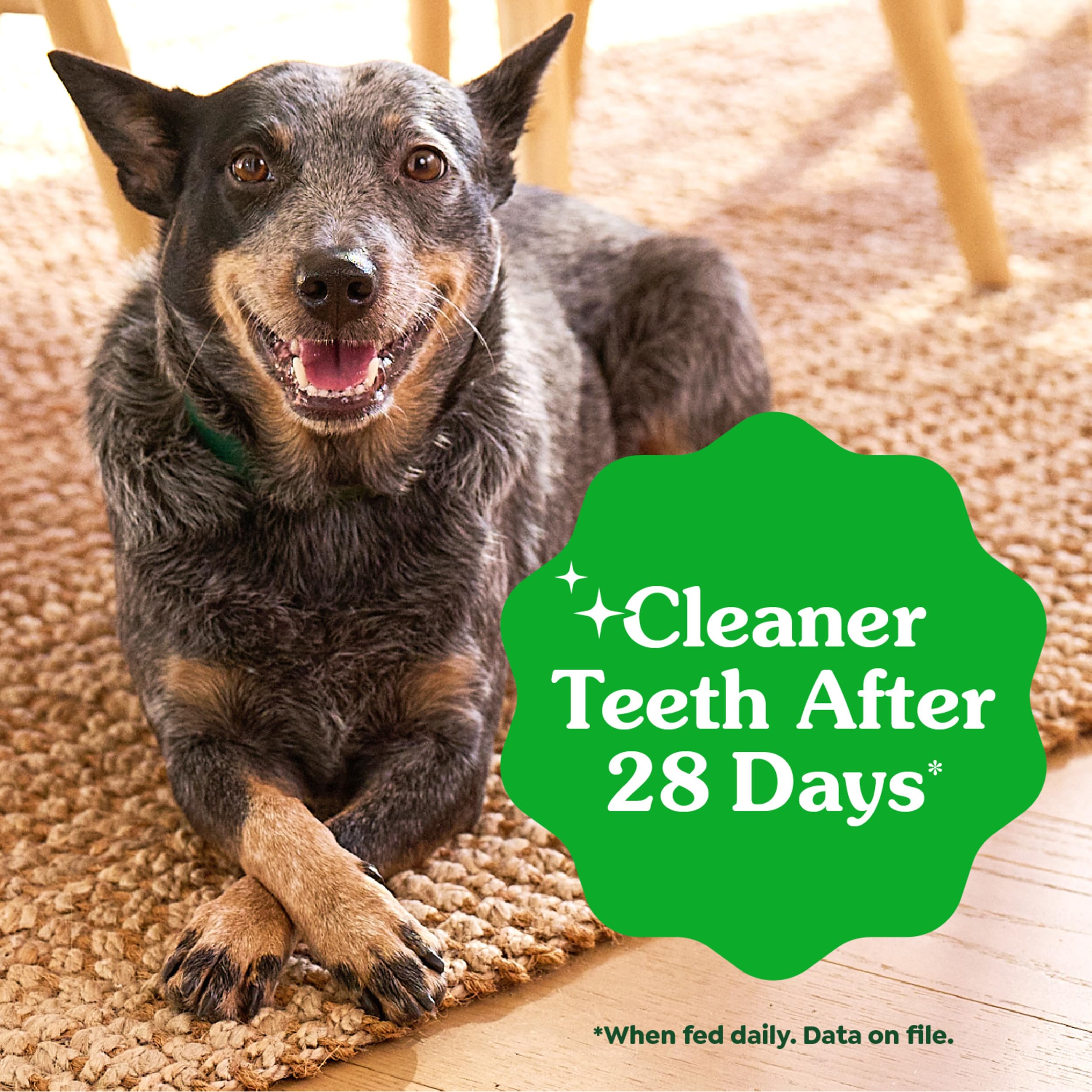 Greenies Vet-Recommended Large-Dog Dental Treats — Fresh Flavor, Original Flavor & Blueberry (3x12 oz)