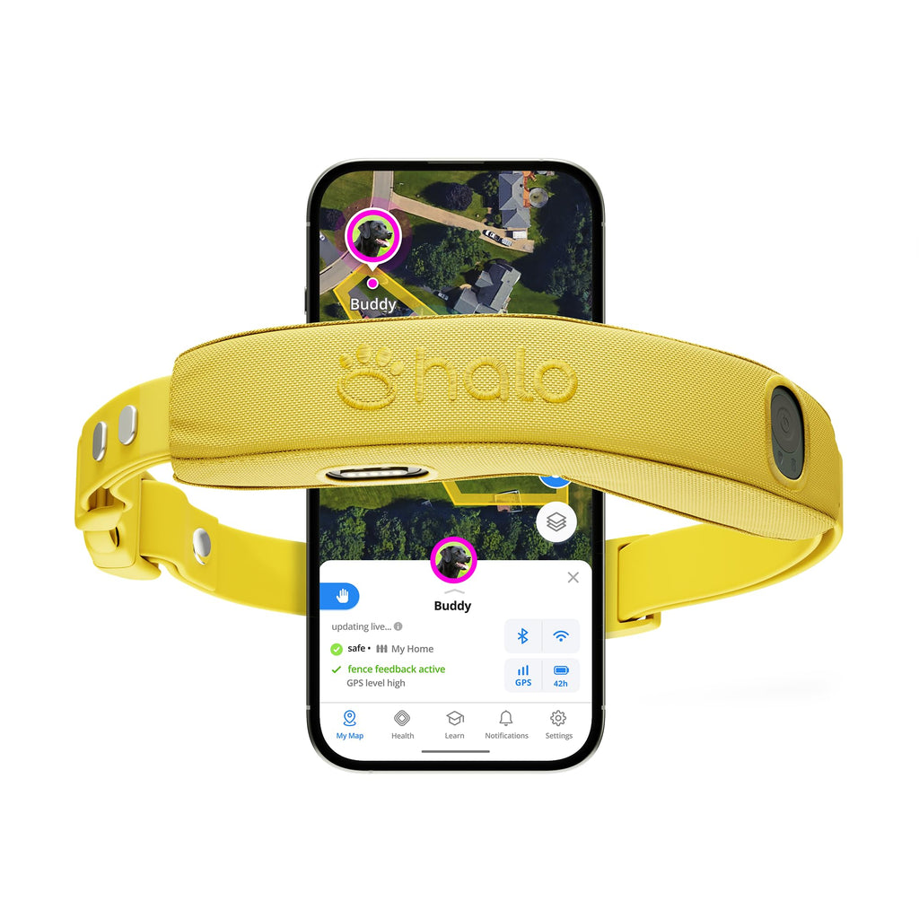 Halo Collar 5 GPS Dog Fence & Waterproof Collar – Real-Time Tracking & Adjustable Fit