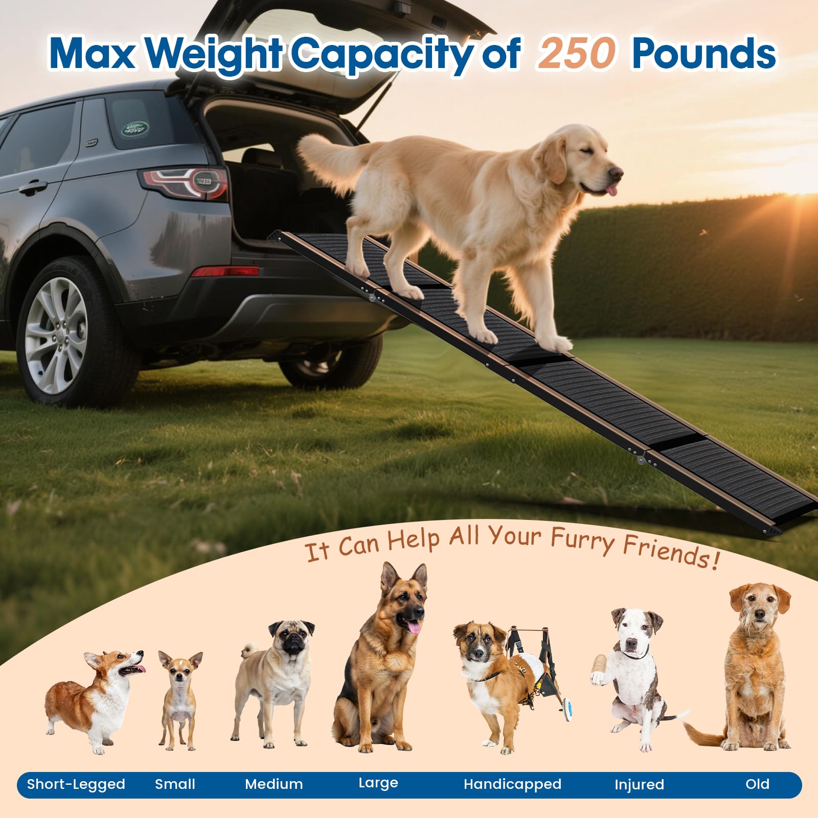 HBTower 63in Folding Dog Ramp – 17.3in Wide, Non-Slip, 250 lb Capacity
