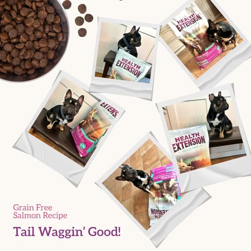 Health Extension Grain Free Salmon & Sweet Potato Dry Dog Food – 10lb, 30+ Superfoods & Probiotics for All Life Stages