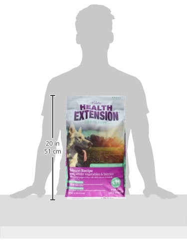 Health Extension Grain Free Salmon & Sweet Potato Dry Dog Food – 10lb, 30+ Superfoods & Probiotics for All Life Stages