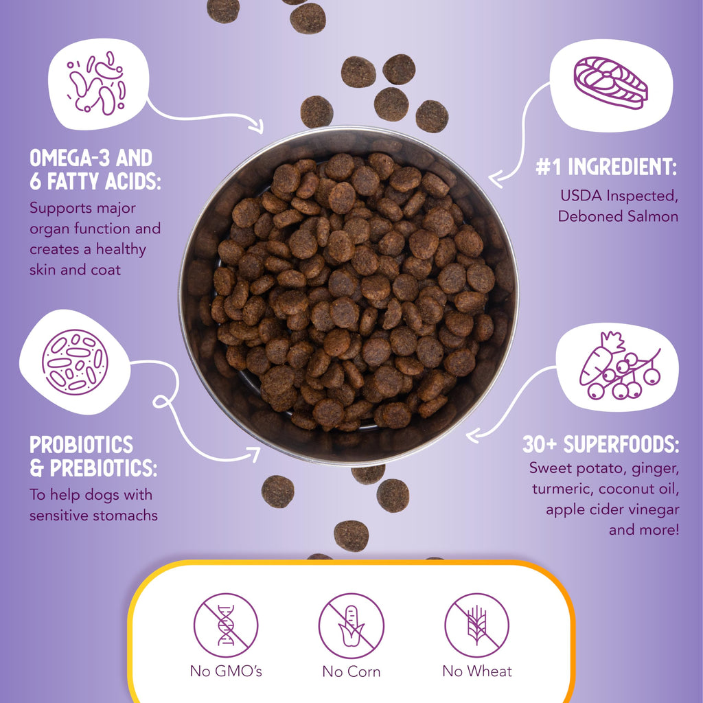 Health Extension Grain Free Salmon & Sweet Potato Dry Dog Food – 10lb, 30+ Superfoods & Probiotics for All Life Stages