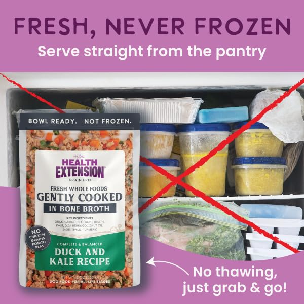 Health Extension Gently Cooked Duck & Kale Dog Food — Human-Grade, Shelf-Stable, 9 oz Pouch (Pack of 10)