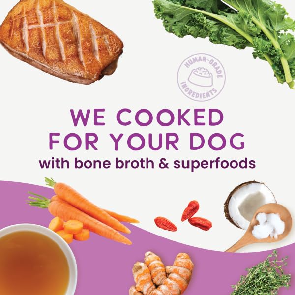 Health Extension Gently Cooked Duck & Kale Dog Food — Human-Grade, Shelf-Stable, 9 oz Pouch (Pack of 10)
