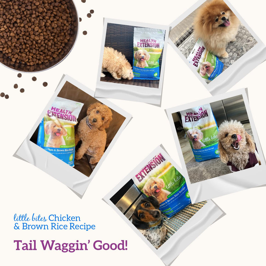 Health Extension Little Bites Dry Dog Food for Toy & Small Breeds – Chicken & Brown Rice
