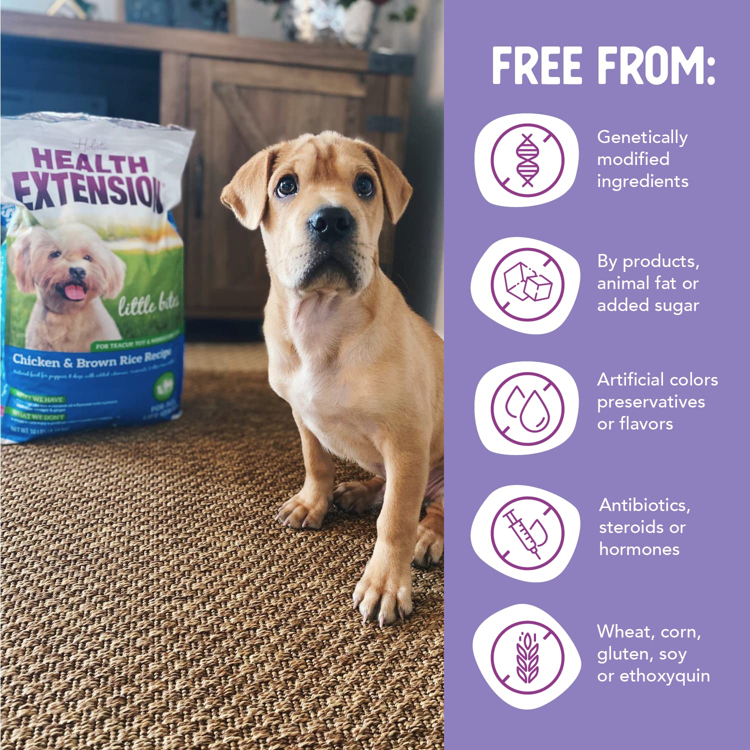 Health Extension Little Bites Dry Dog Food for Toy & Small Breeds – Chicken & Brown Rice