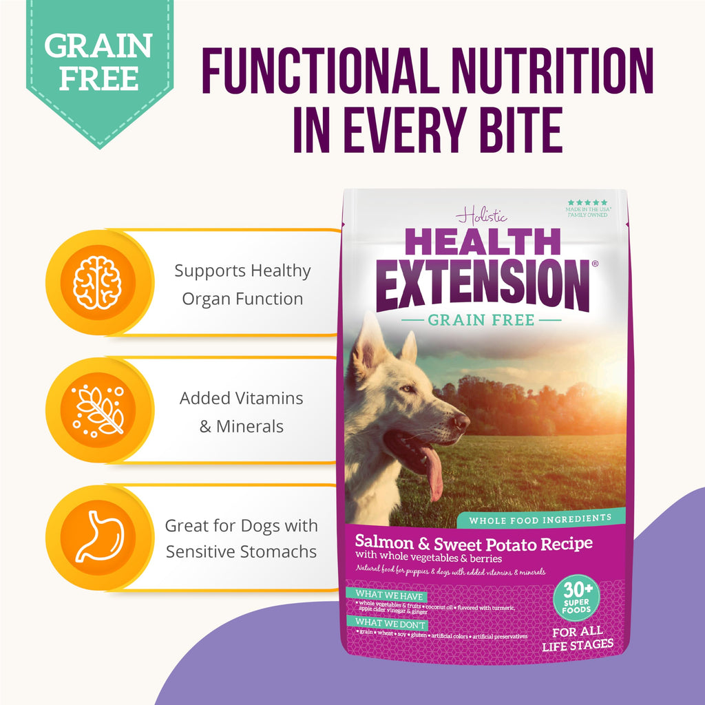 Health Extension Grain Free Salmon & Sweet Potato Dry Dog Food – 10lb, 30+ Superfoods & Probiotics for All Life Stages