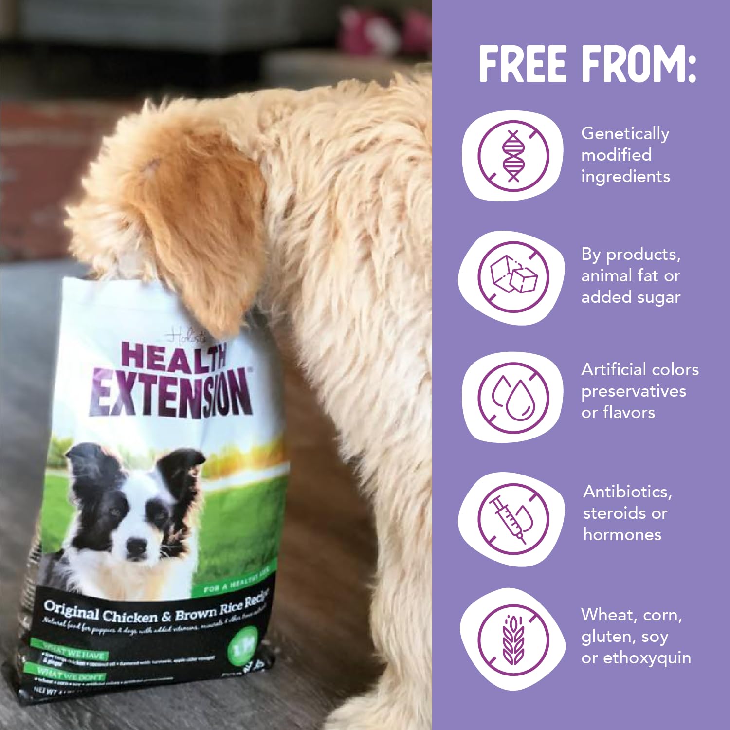 Health Extension Original Chicken & Brown Rice — Protein-Packed Formula with Probiotics & Superfoods (30 lb)
