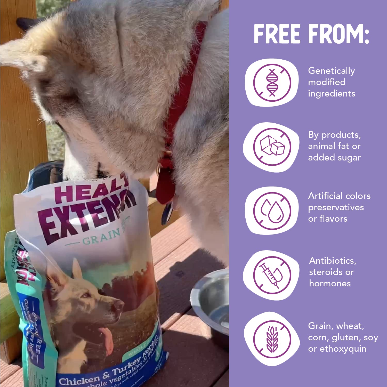 Health Extension Grain Free Chicken & Turkey Dry Dog Food - 30+ Superfoods & Probiotics for All Life Stages (23.5 lb)