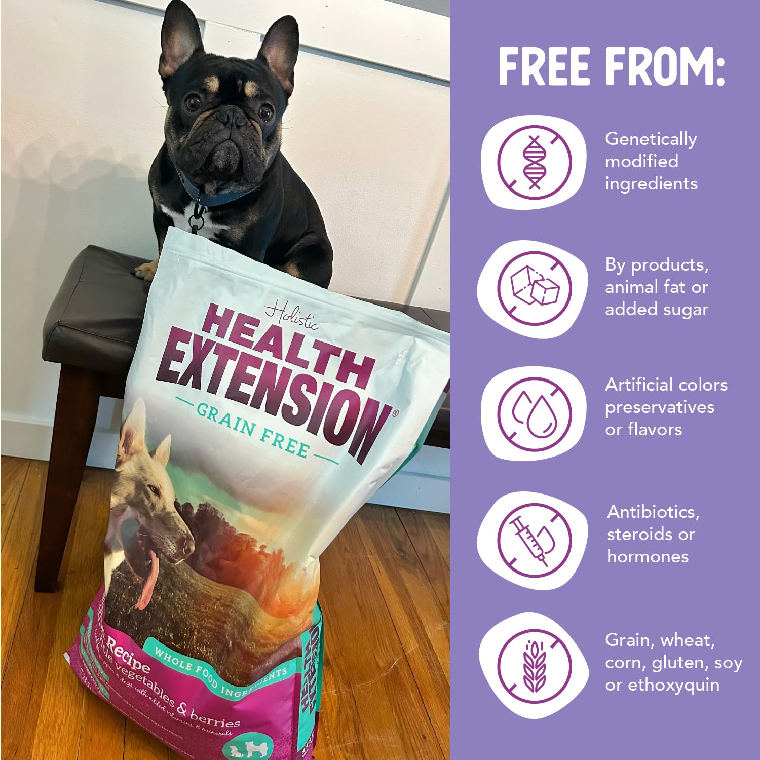 Health Extension Grain Free Salmon & Sweet Potato Dry Dog Food – 10lb, 30+ Superfoods & Probiotics for All Life Stages