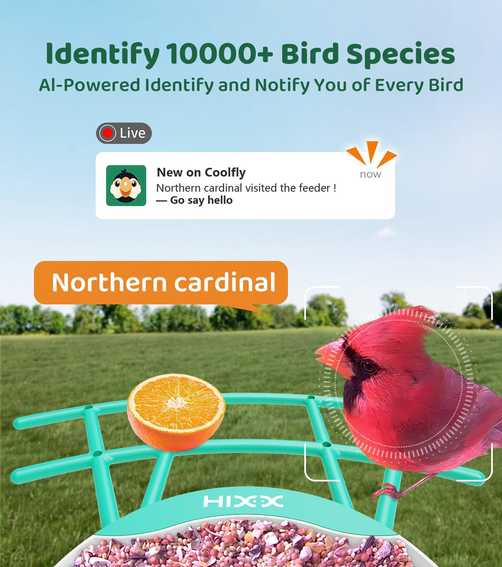 HIXX Smart Bird Feeder with Camera – 2K Live Birdwatching, AI ID, Solar Power, Color Night Vision
