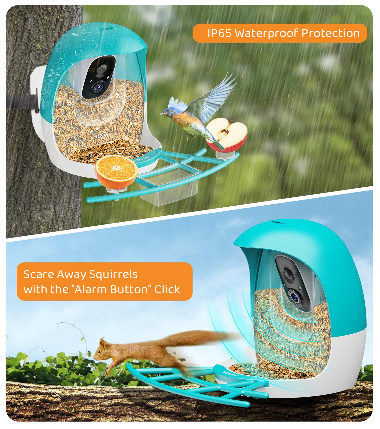 HIXX Smart Bird Feeder with Camera – 2K Live Birdwatching, AI ID, Solar Power, Color Night Vision