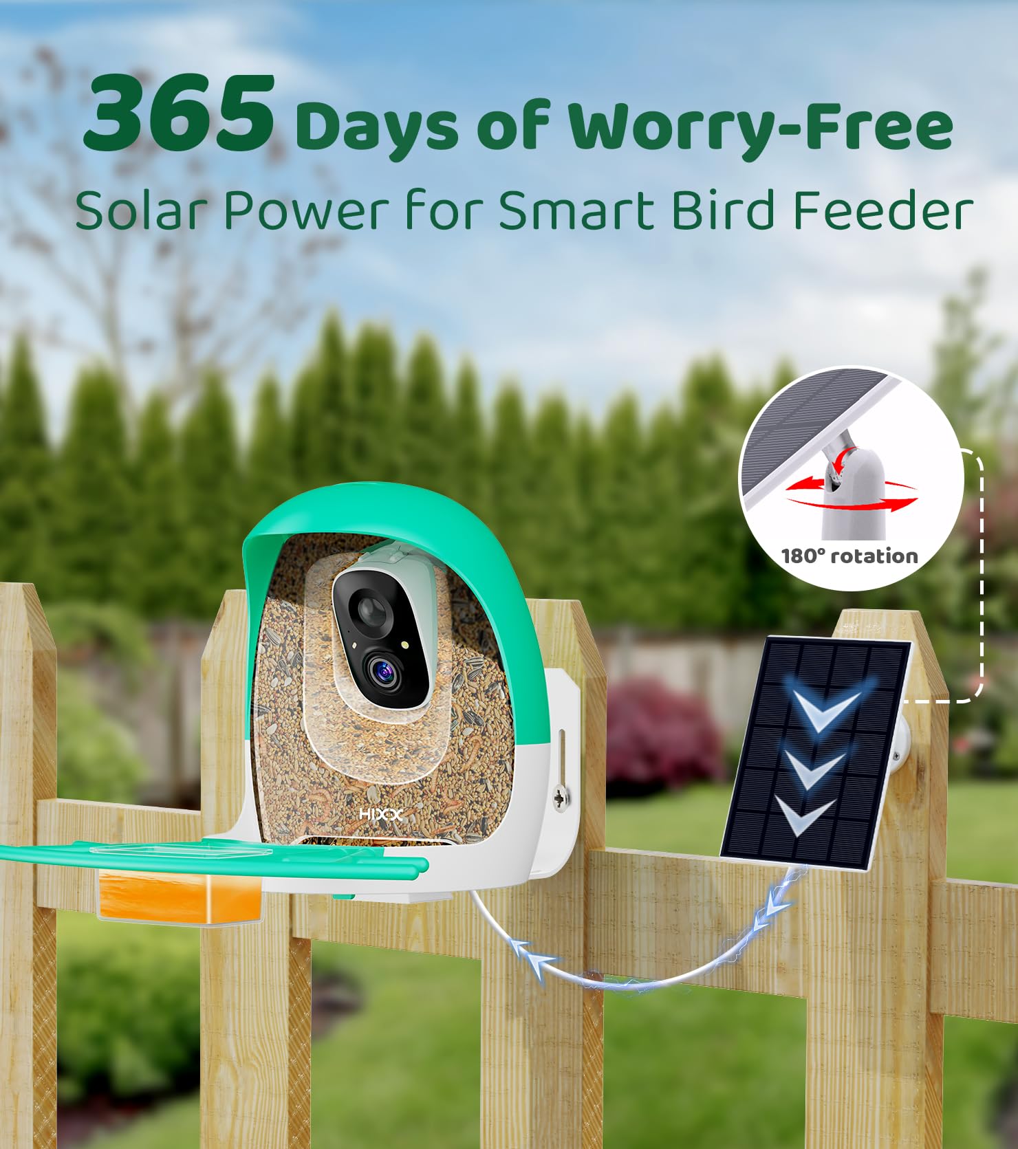HIXX Smart Bird Feeder with Camera – 2K Live Birdwatching, AI ID, Solar Power, Color Night Vision