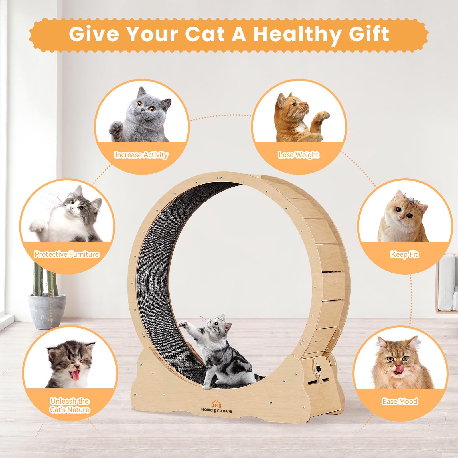 Homegroove 35.4-Inch Cat Exercise Wheel for Indoor Cats | Quiet, Safe Treadmill with Detachable Carpet