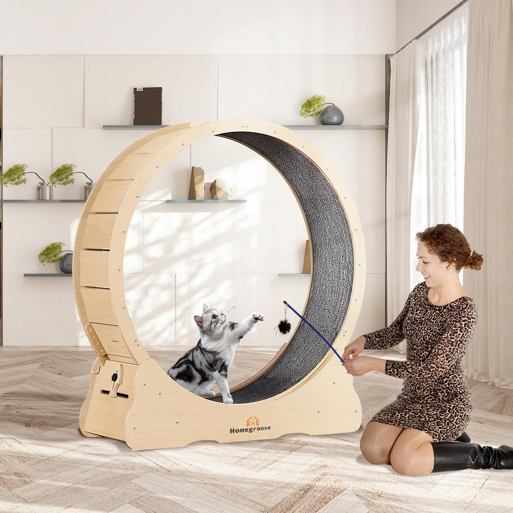 Homegroove 35.4-Inch Cat Exercise Wheel for Indoor Cats | Quiet, Safe Treadmill with Detachable Carpet
