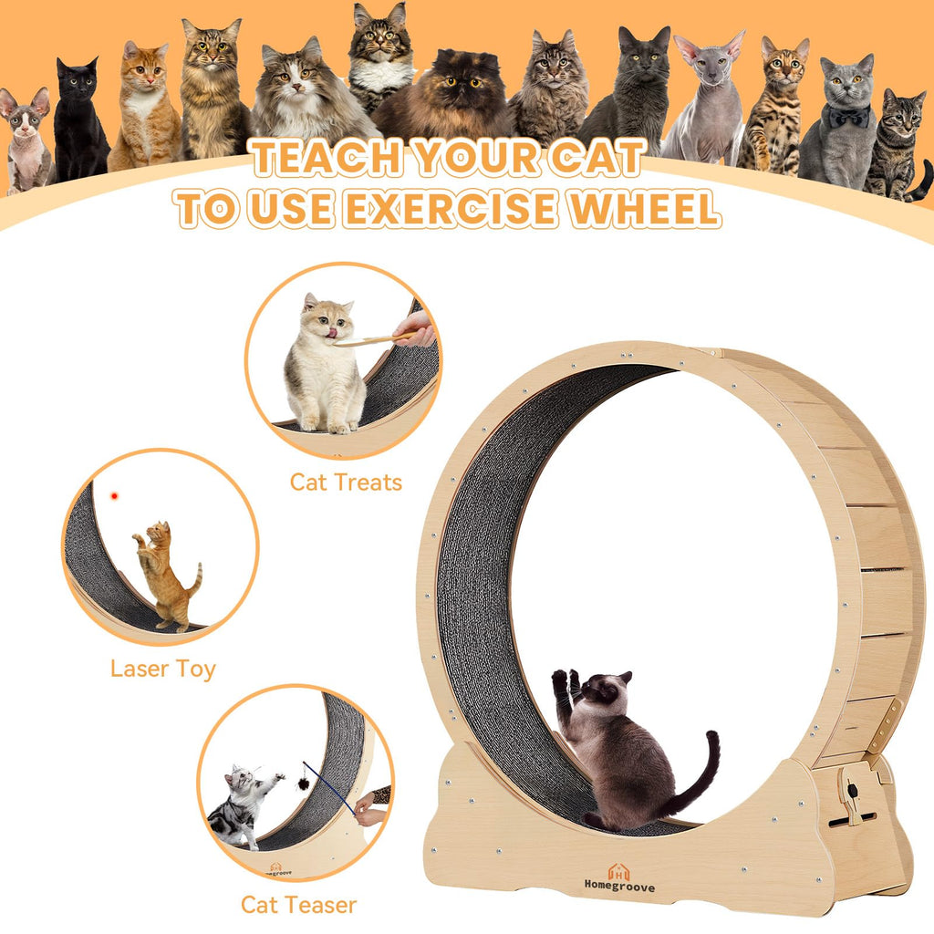 Homegroove 35.4-Inch Cat Exercise Wheel for Indoor Cats | Quiet, Safe Treadmill with Detachable Carpet