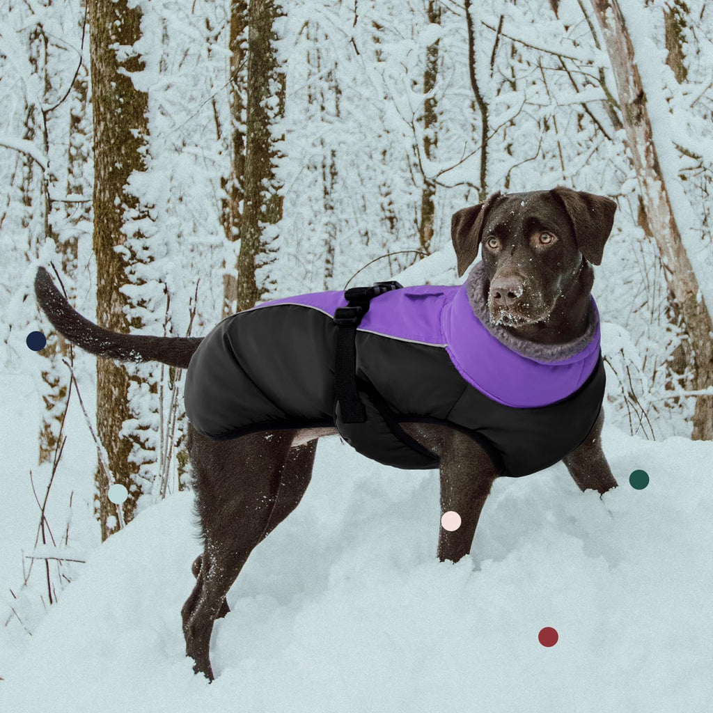 IECOii Extra Warm Reflective Dog Coat | Adjustable Winter Jacket with Buckle & Fleece Turtleneck