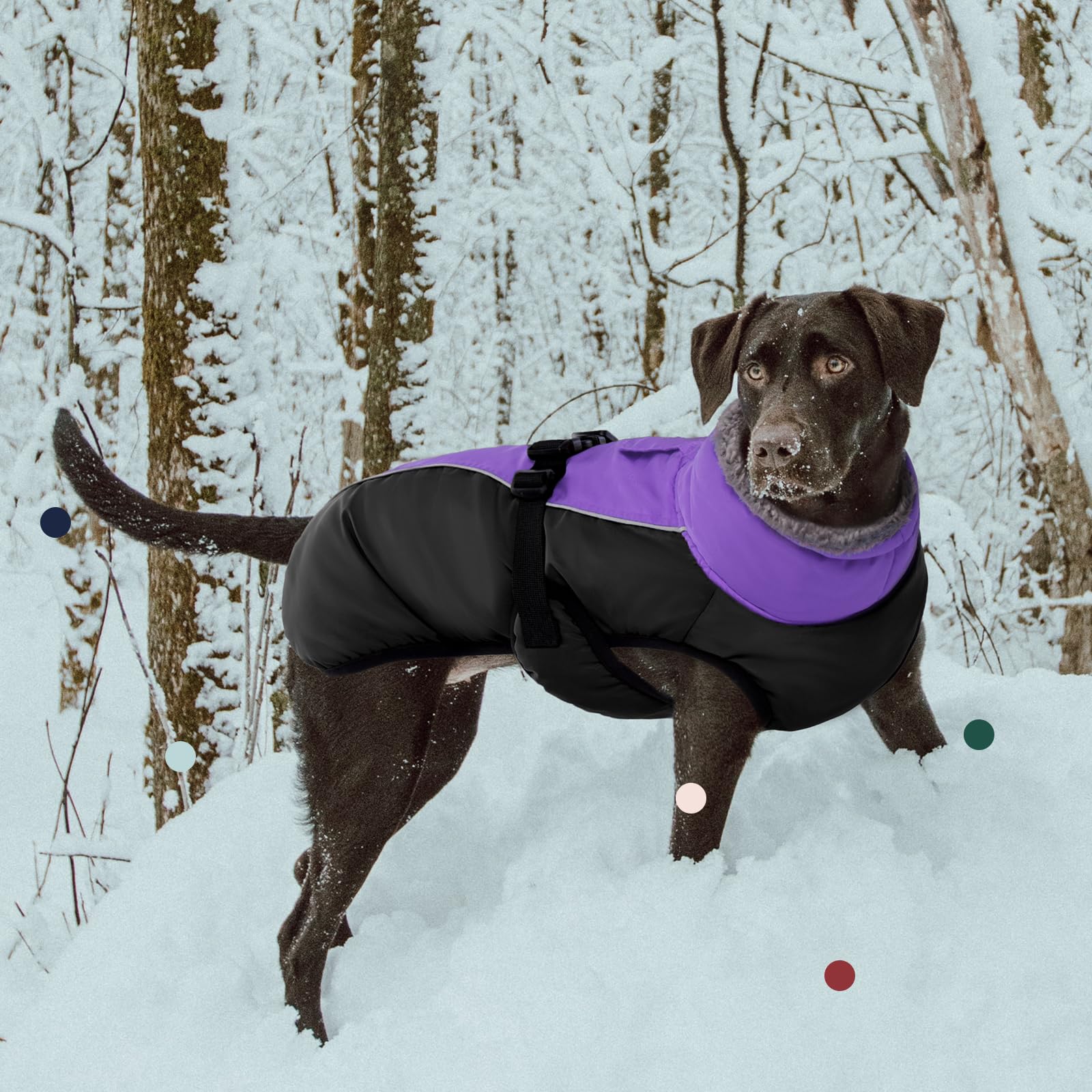 IECOii Extra Warm Reflective Dog Coat | Adjustable Winter Jacket with Buckle & Fleece Turtleneck