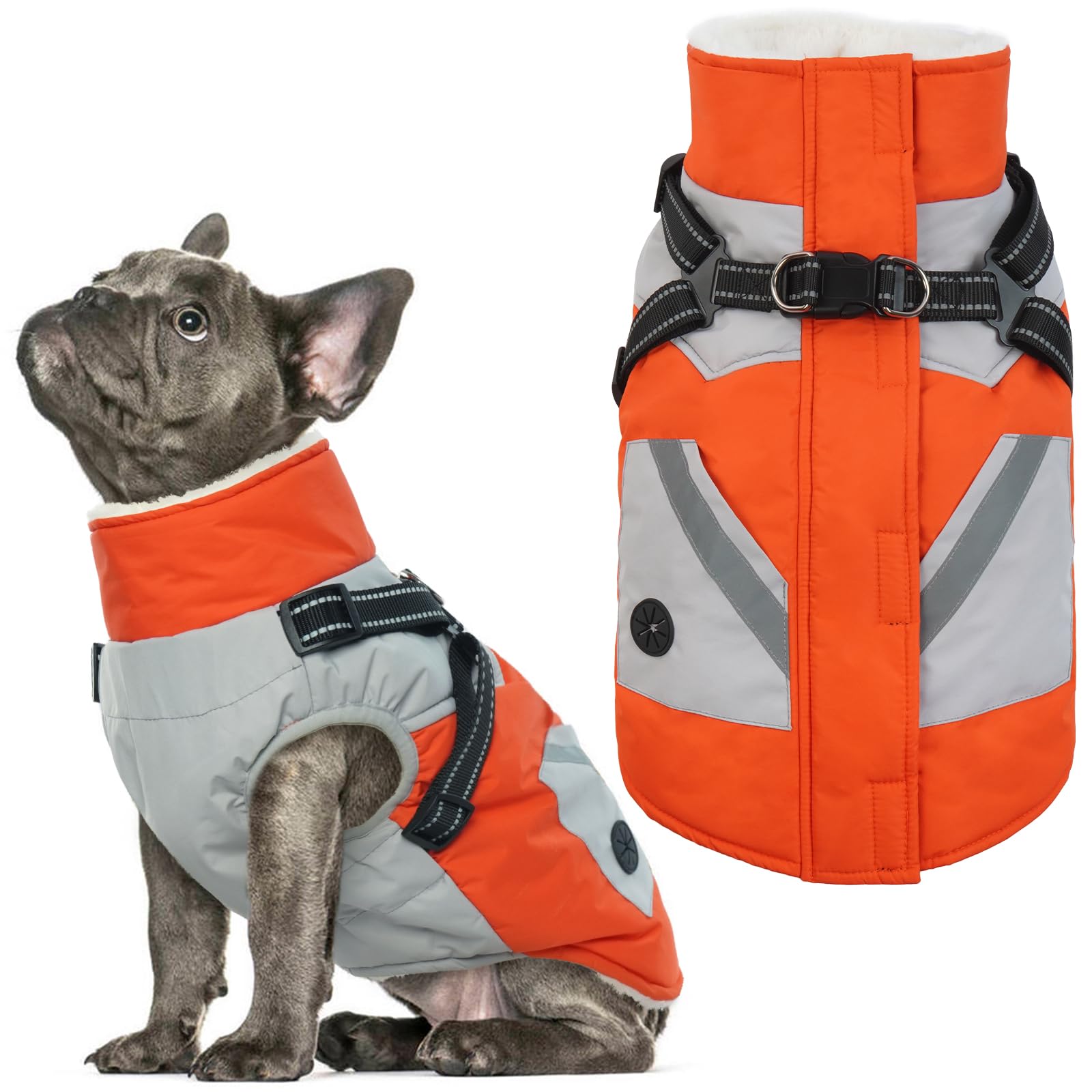 IECOii Dog Coat with Harness Built-In - Orange, Large | Waterproof Winter Jacket