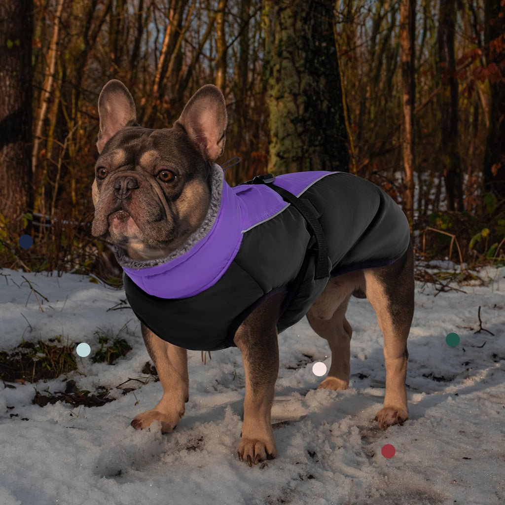 IECOii Extra Warm Reflective Dog Coat | Adjustable Winter Jacket with Buckle & Fleece Turtleneck
