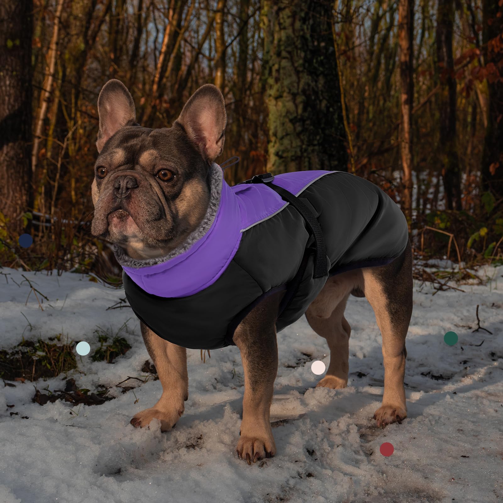 IECOii Extra Warm Reflective Dog Coat | Adjustable Winter Jacket with Buckle & Fleece Turtleneck