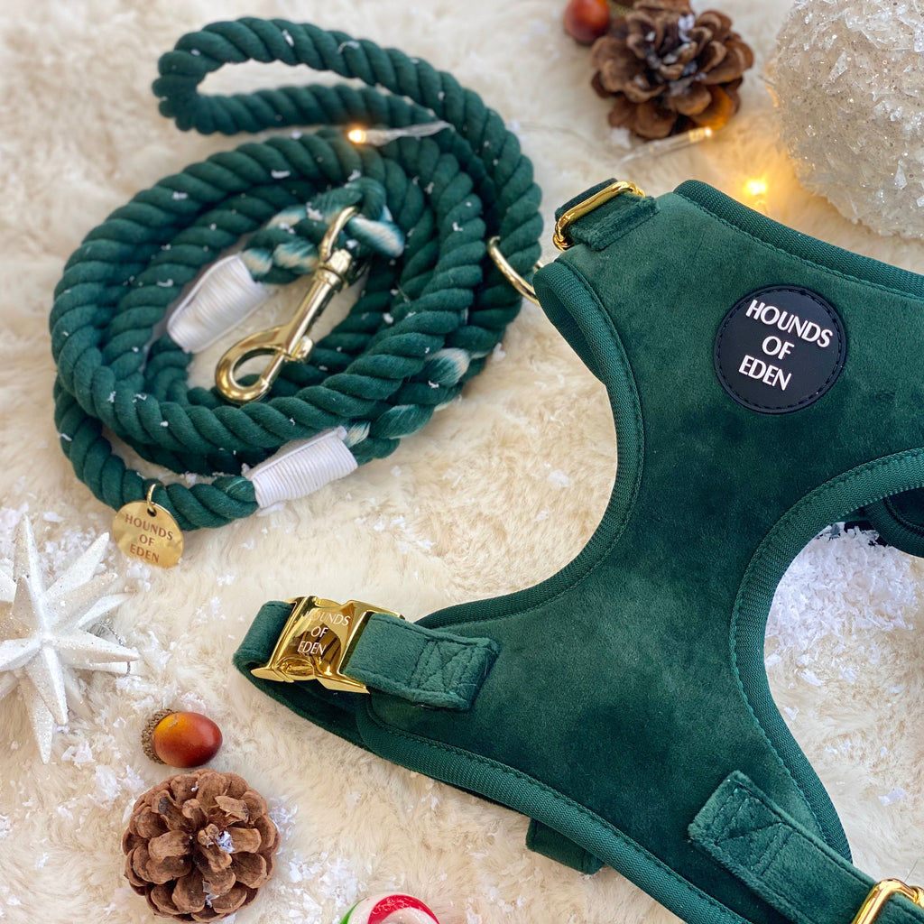 Olive Green Velvet Harness